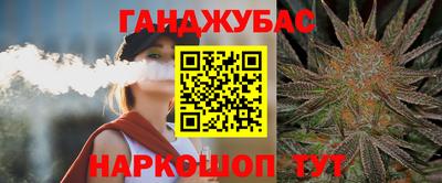 прущие крисы Камышлов