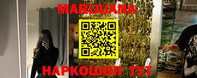 прущие крисы Камышлов