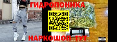 гашик Кандалакша