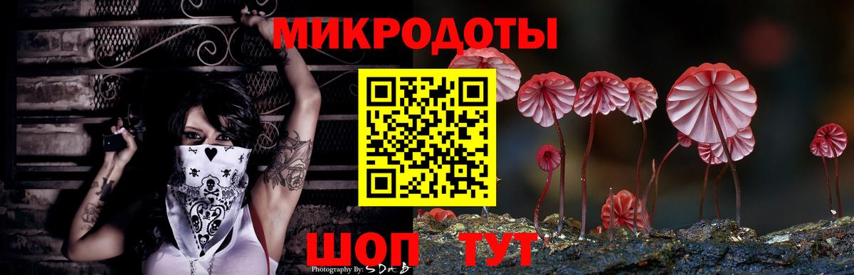Псилоцибиновые грибы Cubensis Кунгур